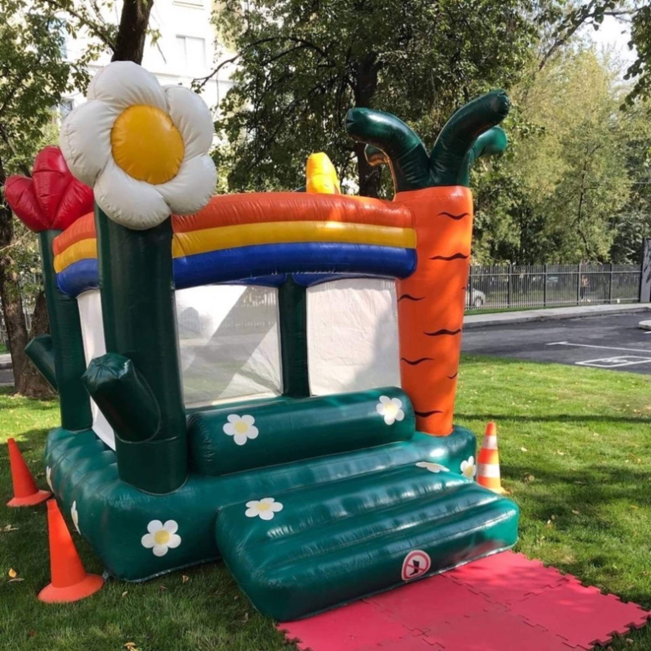 Главное изображение